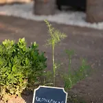 Pirgali Stone House Prázdninový dům Ampavris