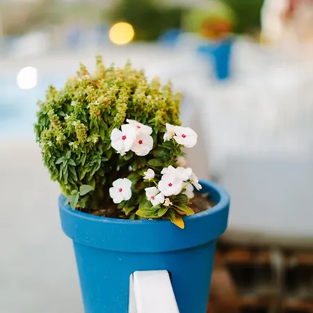 Pirgali Stone House Holiday home *