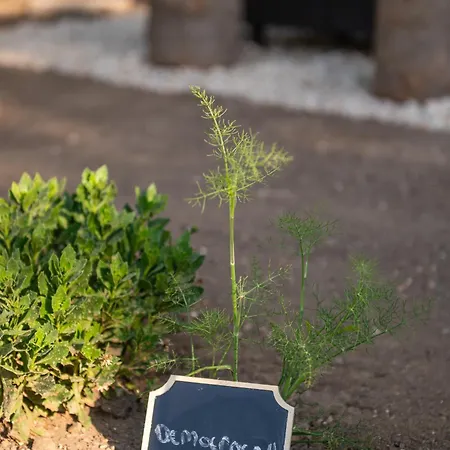 Pirgali Stone House 度假居 Ampavris