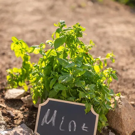 Pirgali Stone House Ampavris