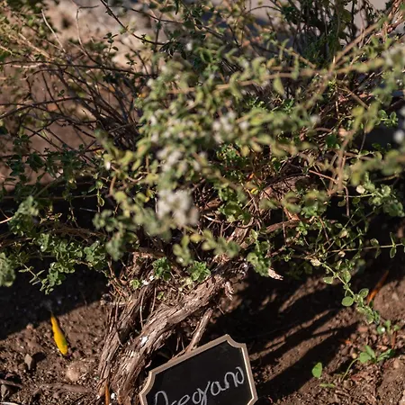 Pirgali Stone House 度假居