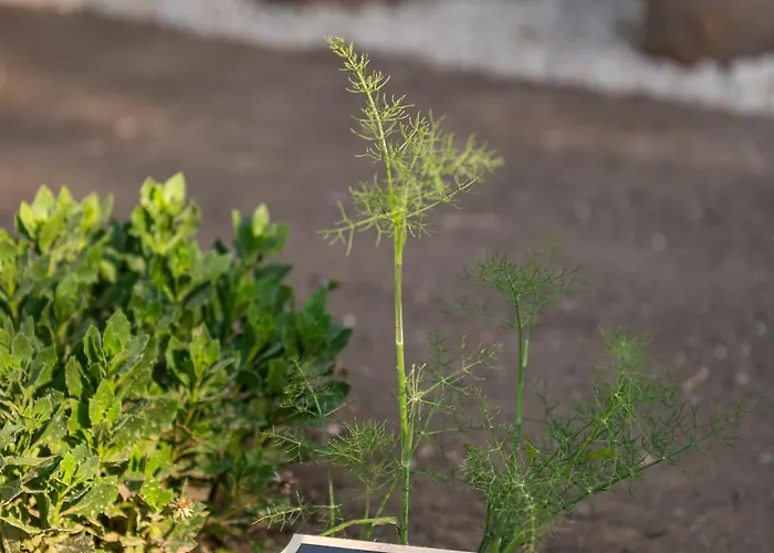 Pirgali Stone House Ferienhaus Ampavris