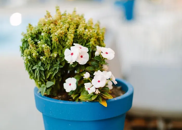 Pirgali Stone House Ferienhaus *